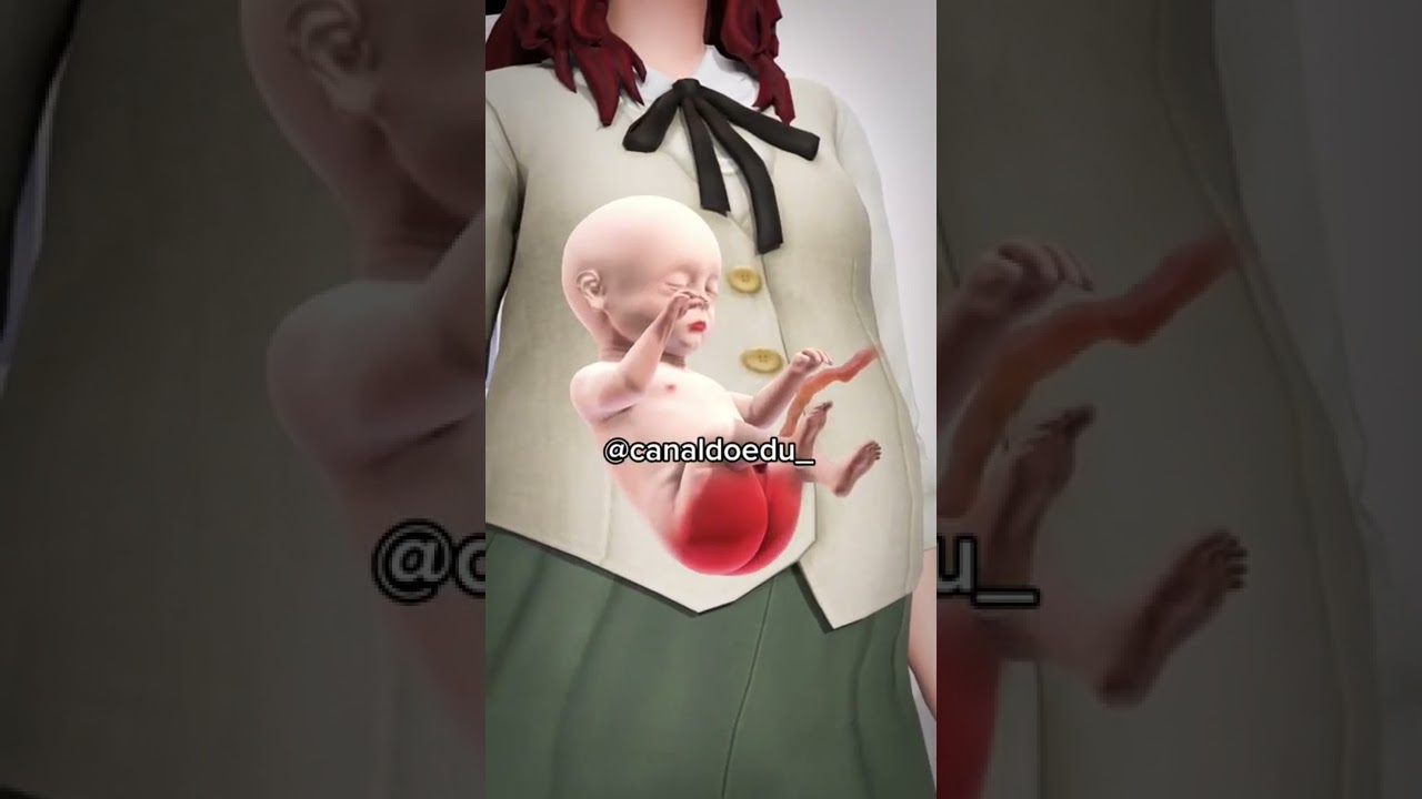 NÃO ACREDITO QUE OS BEBÊS FAZEM ISSO NA BARRIGA ! 😱