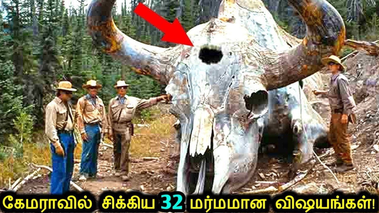 கேமராவில் சிக்கிய 32 மர்மமான விஷயங்கள்! | Mysterious Strange Things Discovered | Tamil Ultimate