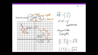 Everything you need to know about GCSE Vectors