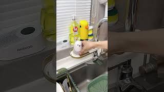 Clean Home With Smart Home Gadgets 😍 | Home Cleaning TikTok  |#cleaning #usa   @Smarthomegadets234
