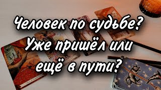 Человек по судьбе? Кто он? Когда придёт? Расклад таро 💫