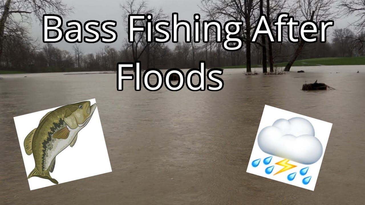 Bass Fishing After Floods (big fish)