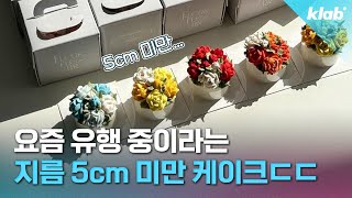 “이 크기에 만 원?” 비쌈 vs 적당함, ‘마이크로케이크‘ 가격 논쟁 🎂🔥｜크랩