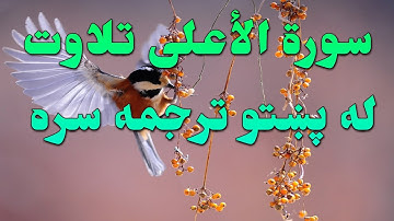 SURAH -AL-AL'AA-87- BEAUTIFULL PASHTO VOICE TRANSLATION-سورة الأعلى تلاوت له پښتو ترجمه سره