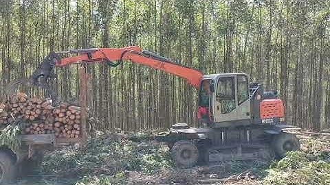 JG100ZL Wheel Crawler Excavator with log grapple for Forestry