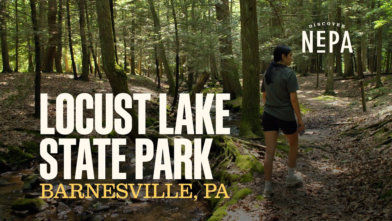 Locust Lake State Park | Barnesville, PA