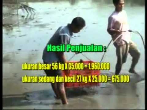 resep-tambak-udang-galah-2-sleman-yogyakarta