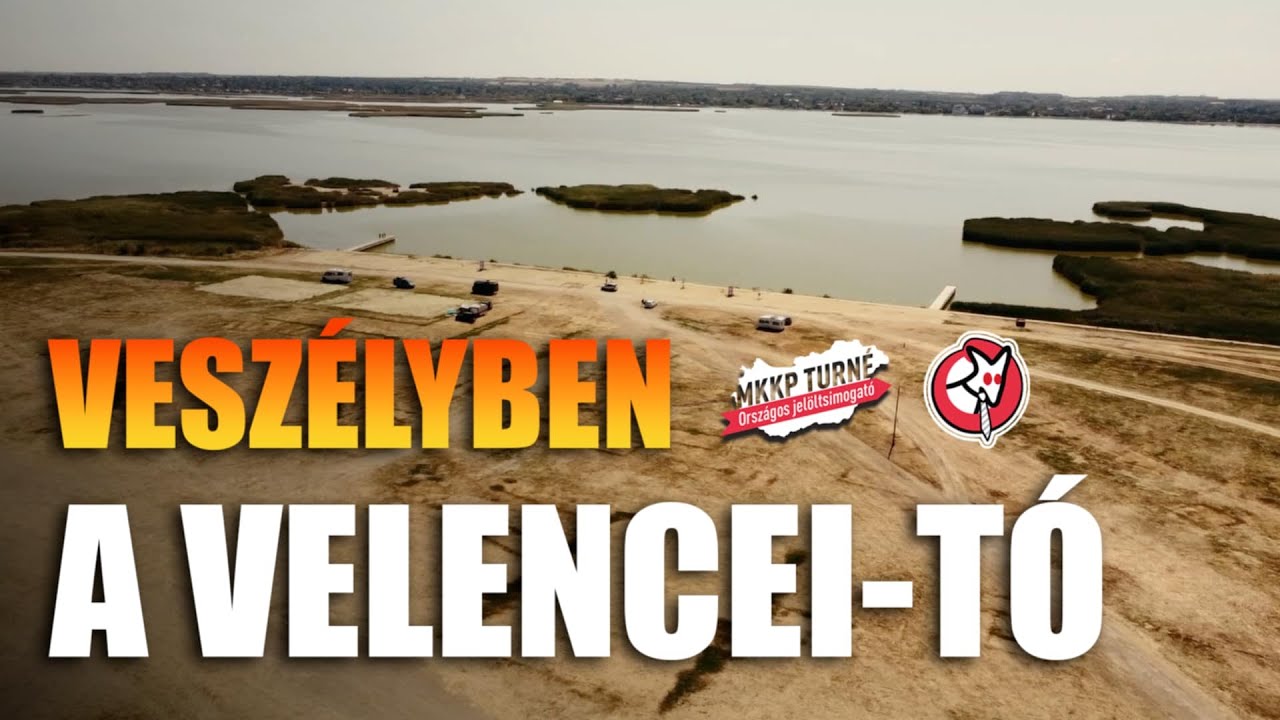 „Muszáj lenne végre felébrednünk és tenni a tavunkért” – több veszély is leselkedik a Velencei-tóra