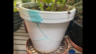 Repairing Ceramic Flower Pot with Milliput