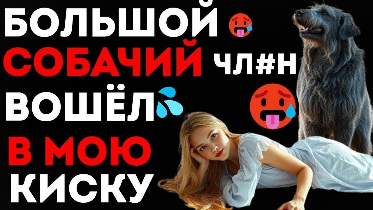 💔 True Love Shown by a Dog | Мужчина не смог, но пёс показал, что такое настоящая любовь 🐶❤️