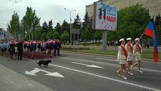 Смотреть Всем!!! Собака испортила парад в Донецке 9 мая 2018 Смотреть Всем!!! Собака испортила парад в Донецке 9 мая 2018