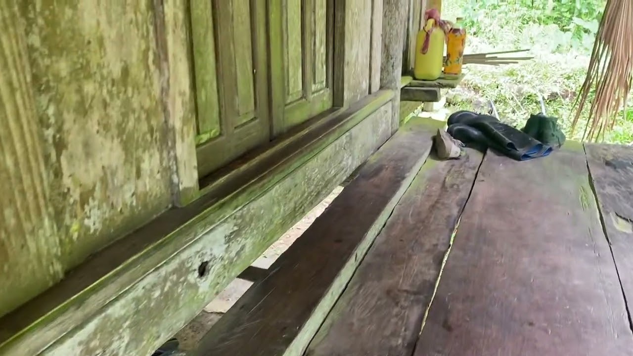 Nhà sàn gỗ đinh vào trò chỉ 4 gian 1 trái. Lh e hiền 0976741410