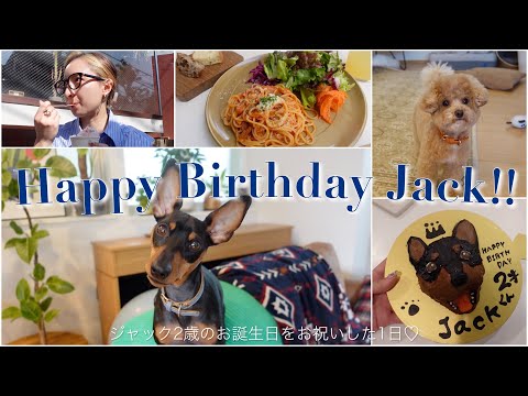 愛犬の2歳の誕生日を沢山お祝いした1日Vlog♡