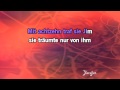 Karaoke Liebeskummer Lohnt Sich Nicht - Siw Malmkvist *