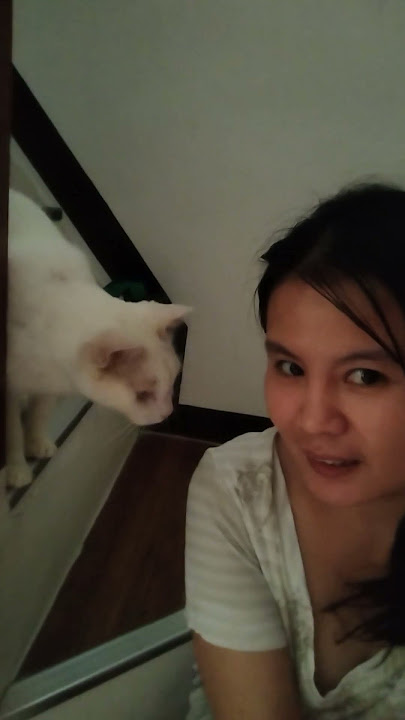 #youtubeshorts #pets #viralshort