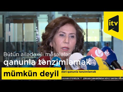 Bahar Muradova: “Bütün ailədaxili məsələləri qanunla tənzimləmək mümkün deyil”