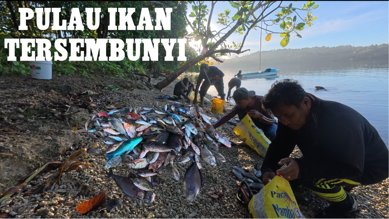 1 MALAM MENYELAM..,,!! TERNYATA PULAU INI BANYAK IKAN SAMPAI RUANG PERAU PENUH