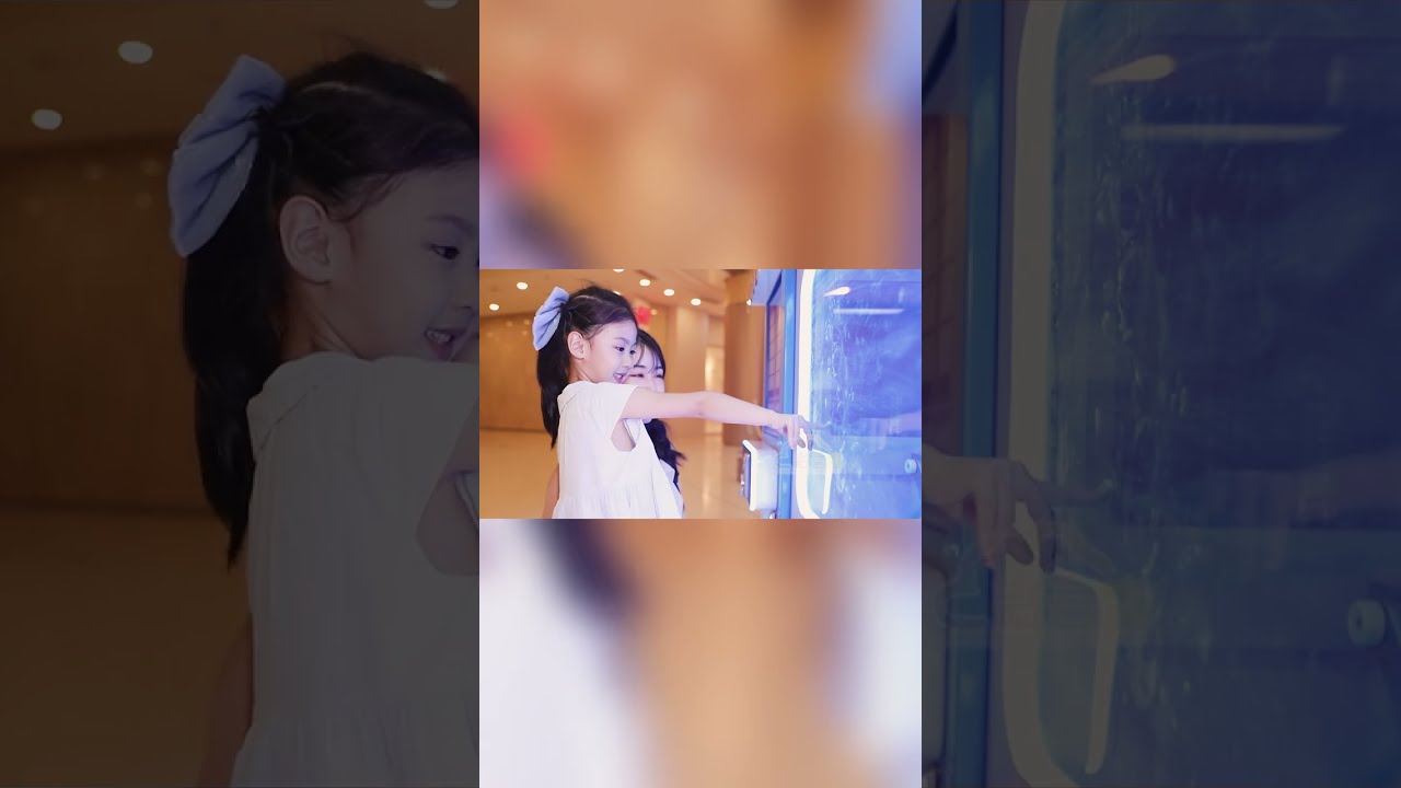 CT580 Blue Cotton Candy Vending Machine ​