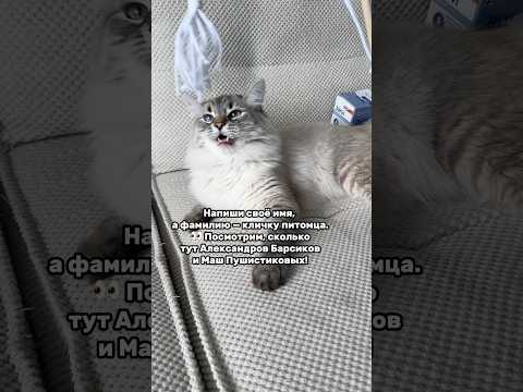 Не зря кличку питомцу выбирали