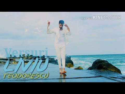 Liviu teodorescu-Sa nu te prind |Versuri