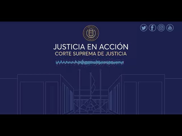 Justicia en Acción 233-2021 del 21.12.2021