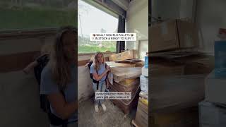 🛍️🛒Wally World Pallets! 🛒🛍️ #bdliquidators #resellercommunity #haul #palletflipping #wallyworld