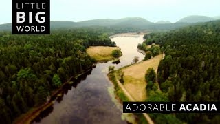 Adorable Acadia National Park  | Little Big World | Time lapse & tilt shift