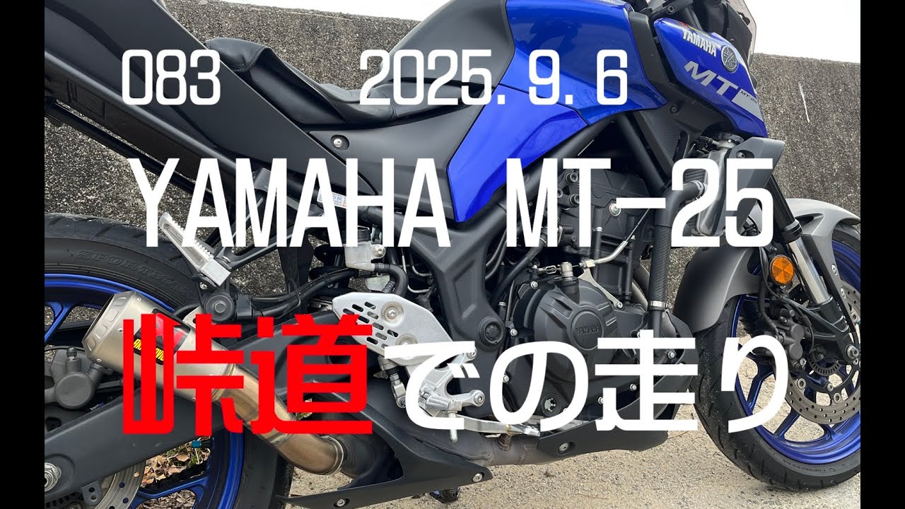 MT-25 峠道での走りは？