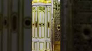 Reazul jannah, নবীজির রওজা শরীফ,  Nabawi Rawza Mubarak, Masjid Nabawi shortvideo madina nabawi