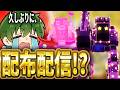 【ブレインロット】同接が増えるごとに豪華になる配布配信!!久しぶり!!カスタムやるかも!!【Fortnite/フォートナイト】