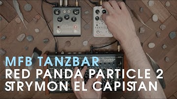 MFB Tanzbär, Red Panda Particle V.2, Strymon El Capistan dTape Delay