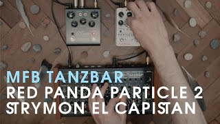 MFB Tanzbär, Red Panda Particle V.2, Strymon El Capistan dTape Delay