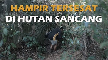 HUTAN SANCANG YANG MISTIS NAMUN EKSOTIS..