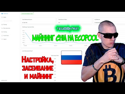 Майнинг Chia на РОССИЙСКОМ ecopool'е - Настройка, засеивание и майнинг