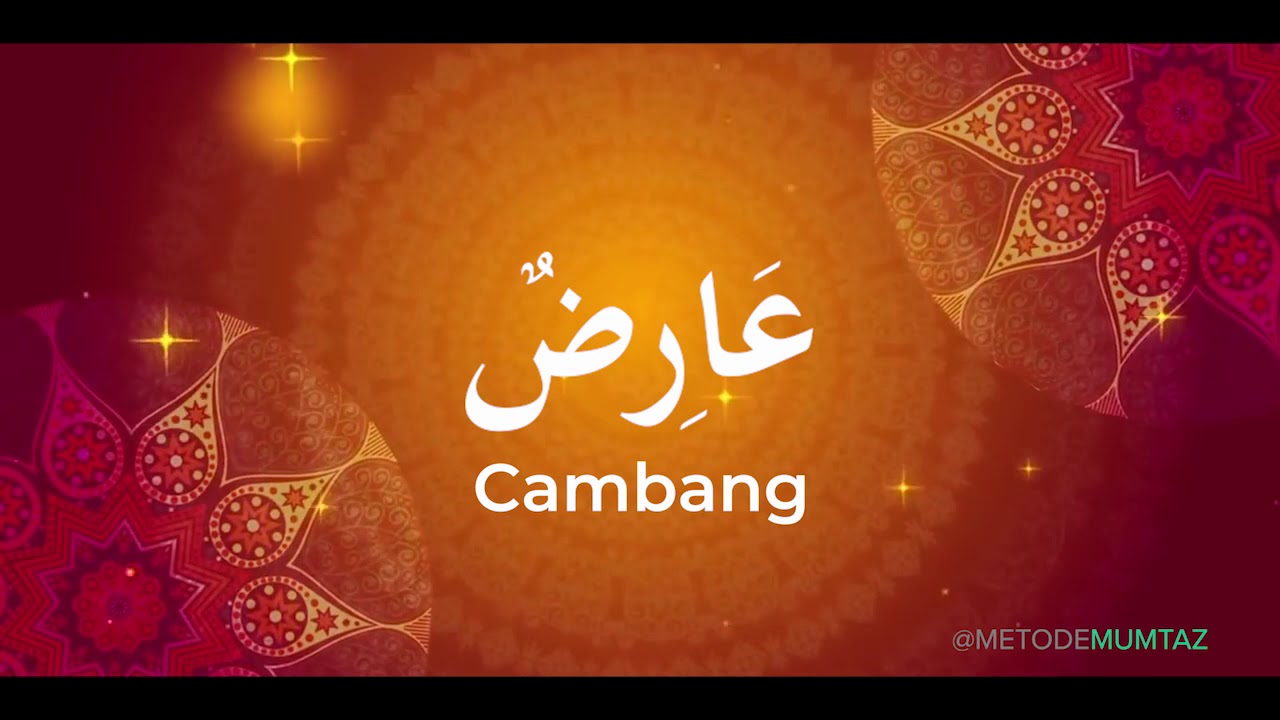 KOSAKATA ANGGOTA BADAN I Versi Lagu Adek Berjilbab Biru