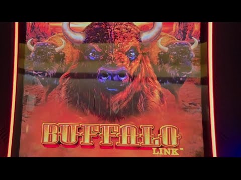 Buffalo Link – You're Never Out of the Game!