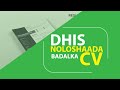 Dhis Noloshaada Badalka CV | dhiirigalin