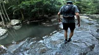 Running Trails around Gold Coast Hinterland - Springbrook National Park
