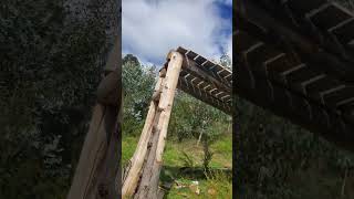 sick drop took ages #mtb#butter#cutlaps