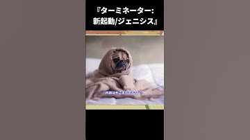 【ゆっくり映画雑談】シリーズ最下位！ある意味ジェームズ・キャメロンが一番の戦犯『ターミネーター:新起動/ジェニシス』【ネタバレ無し】