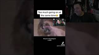 Daz Reacts To Dog Song