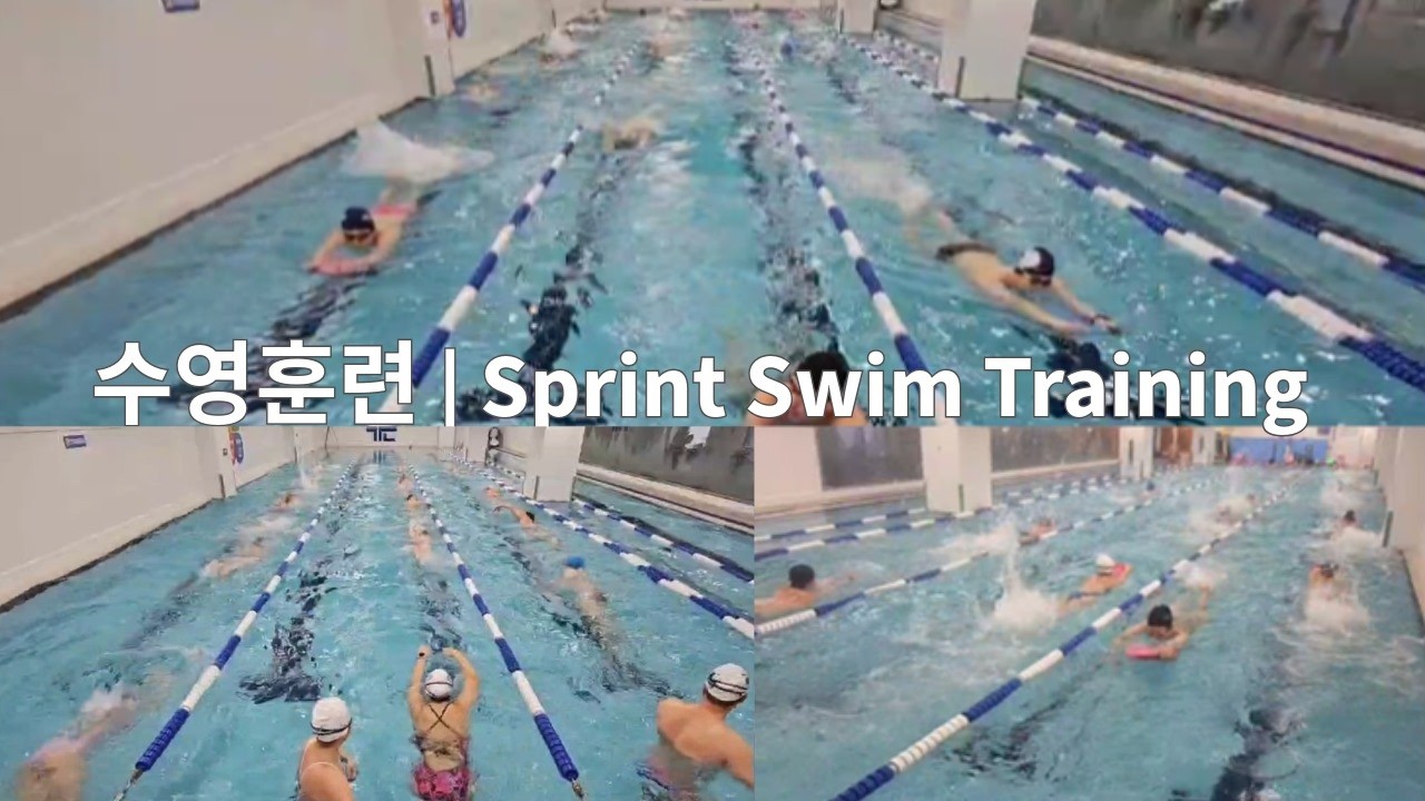 수영훈련 | Sprint Swim Training