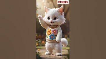 Cute cat dance APT Rose & Bruno Mars #cat #dance #apt #tranding