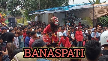 Banaspati vs Singomaruto Muncul Budoyo Beran Lor 🔴Live derek, glagah
