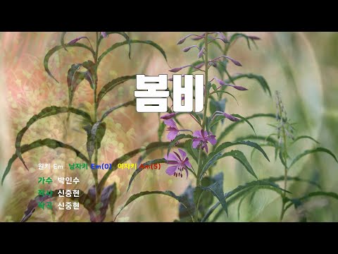 [은성 반주기] 봄비 - 박인수 노래 / MR / 가사 / 반주