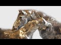 Arab and Goliath Bronze Horse Sculpture by Kindrie Grove - 360 View