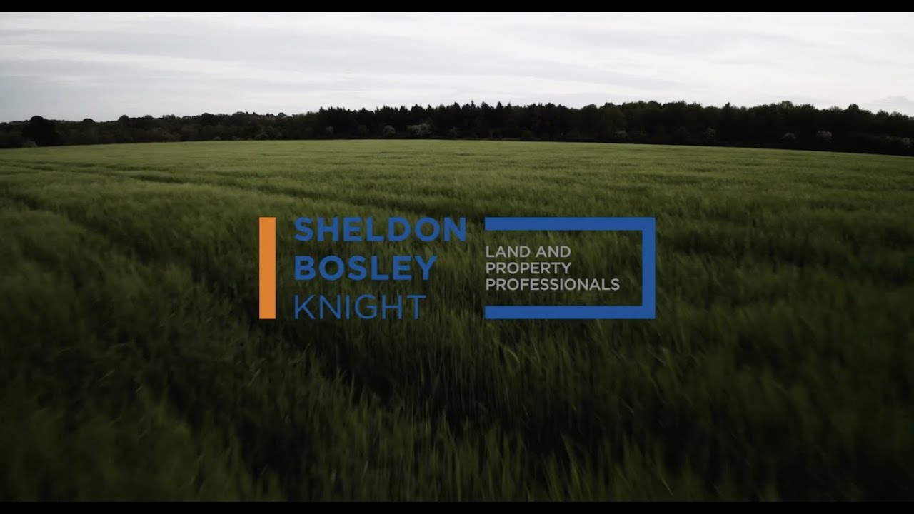 Sheldon Bosley Knight YouTube