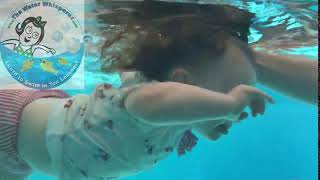 Little One Learns To Swim Looking Down