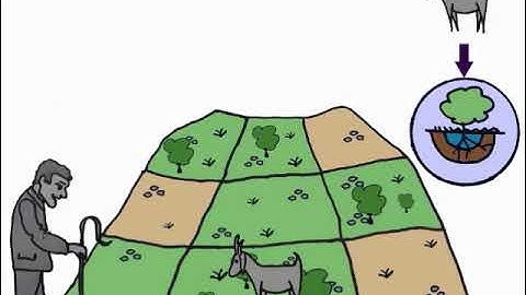 What is a tipping point?