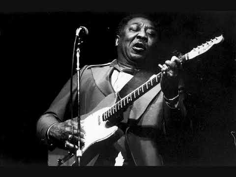Muddy Waters   Champagne & Reefer